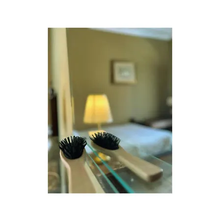 ホステル Casa Quixote